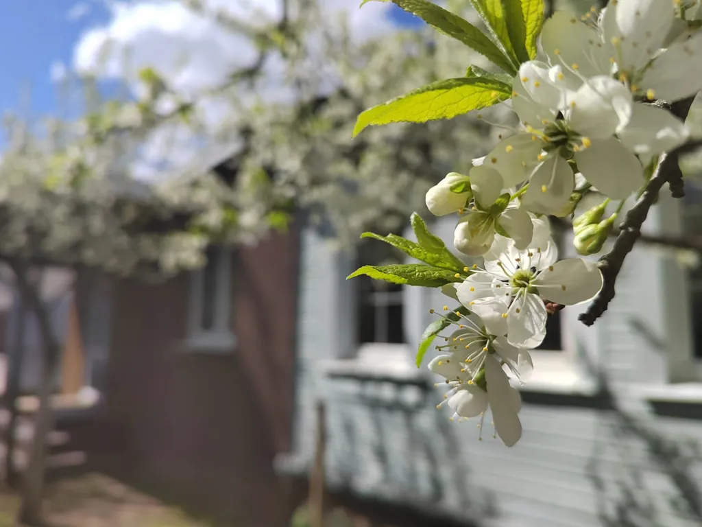 Большой дом