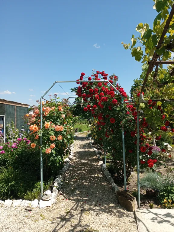 Милый дом в горах Адыгеи