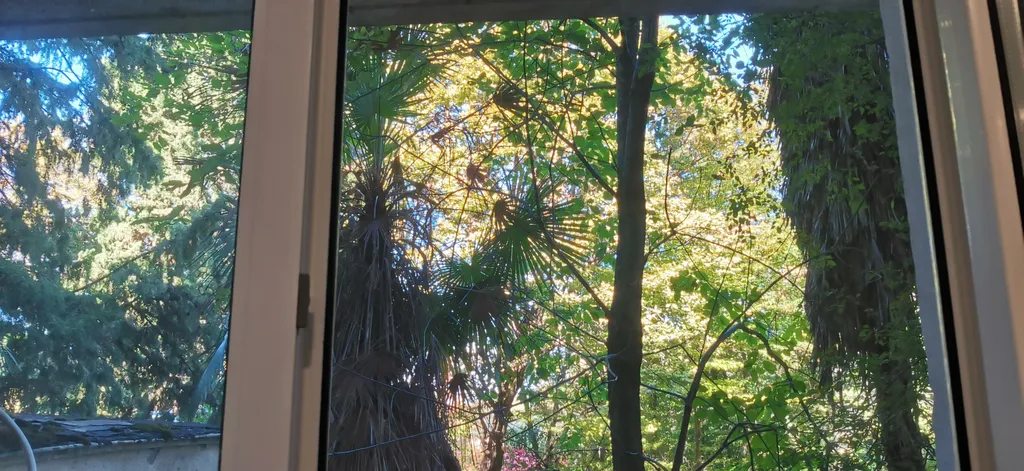 Студия в зелёном городке ввс