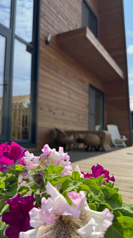 Дом у Волги