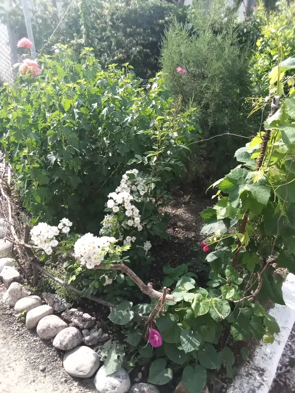 Жильё под ключ