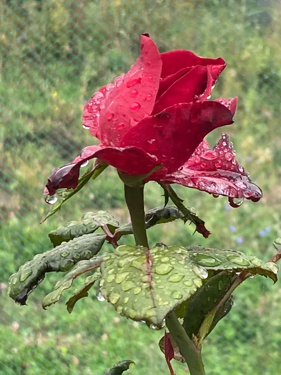 Коттедж Уютный модульный дом в 20 минутах езды от центра города — Казань