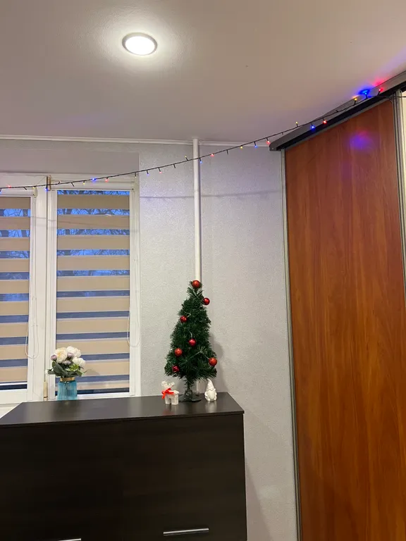 Фрунзенская, Стелла