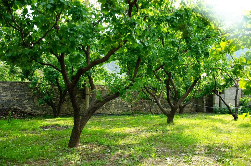 Домик в Гергебиле