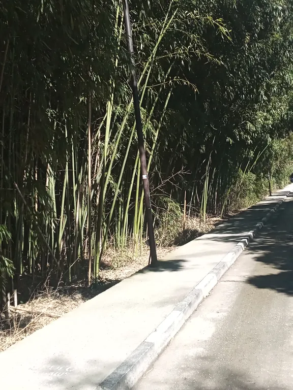 Квартира Квартира Добро пожаловать в Сириус — Сириус