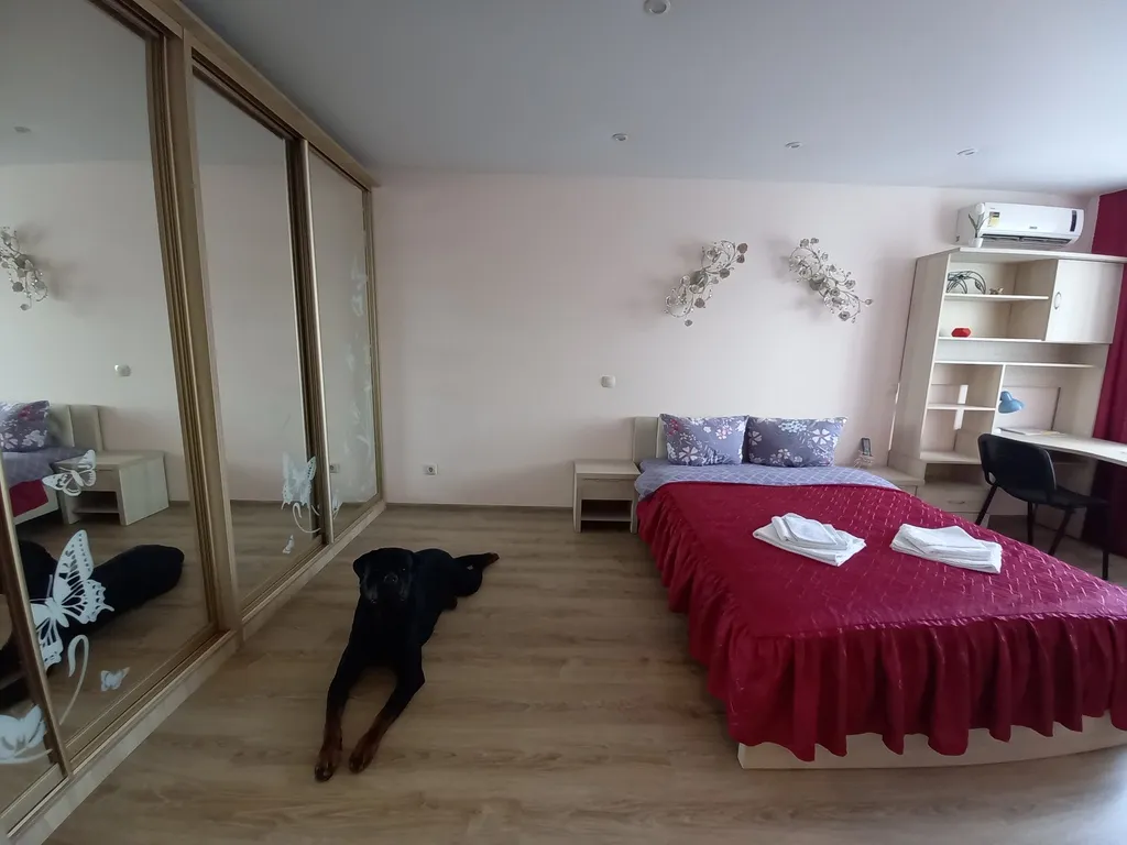 Квартира Красивые рассветы — аренда посуточно в Рязань