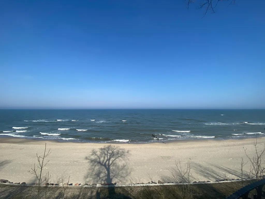 Прекрасная Кёнигсбергщина-1