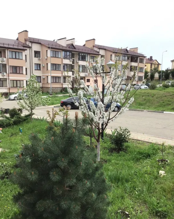 Уютная однокомнатная квартира рядом с морем — аренда посуточно в Дивноморское