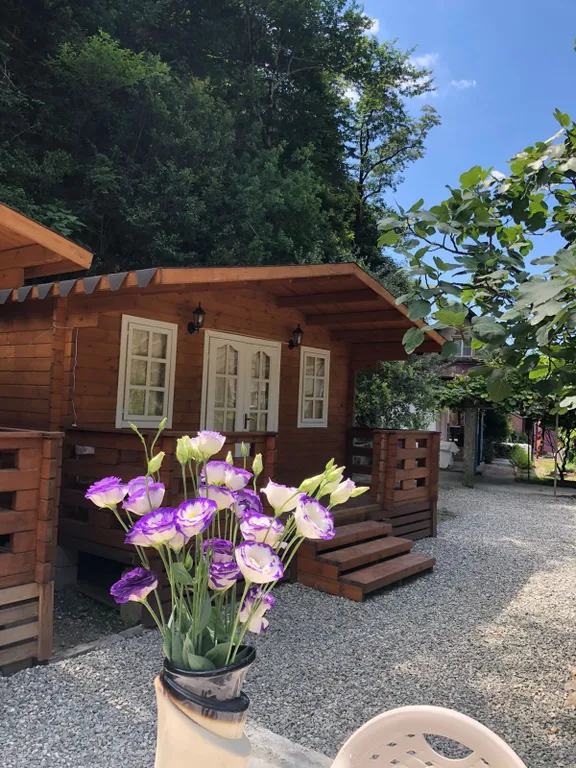 Коттедж Эко домик с парковкой рядом с горной рекой — Гагра