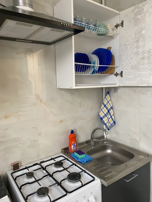 Большая квартира в центре, после ремонта