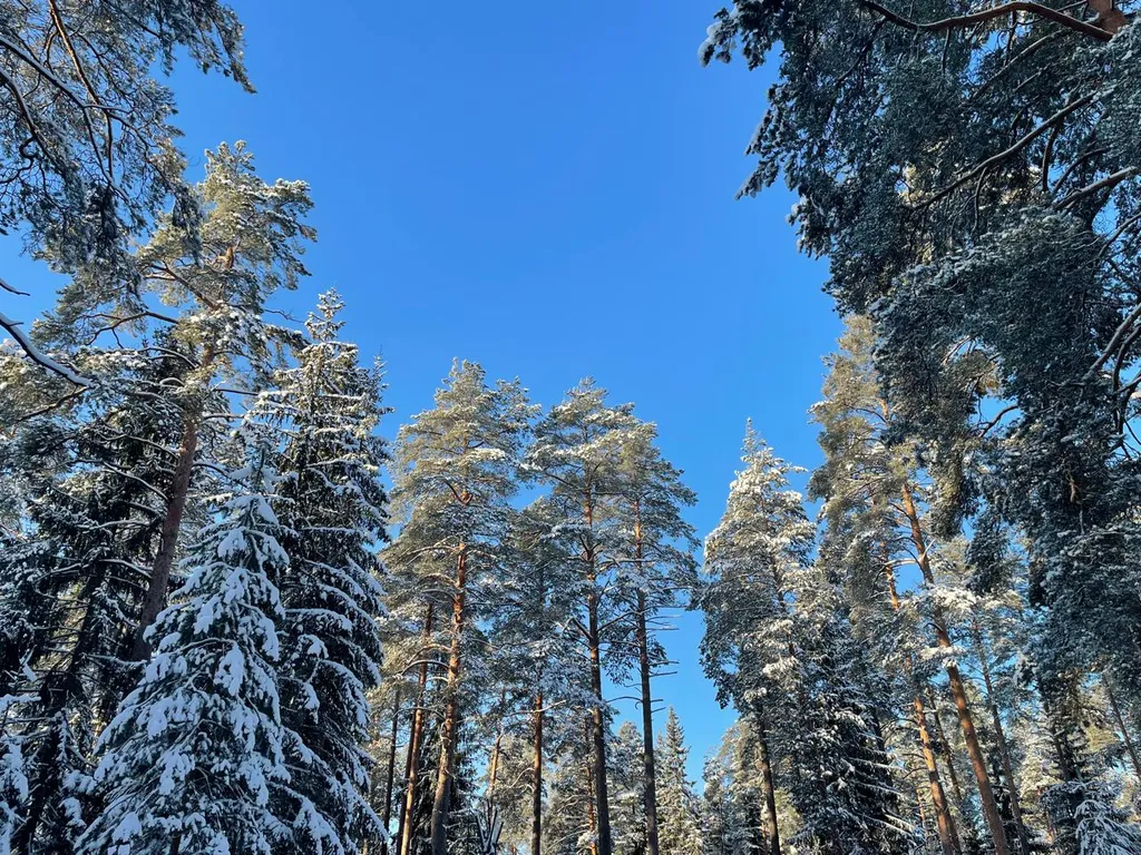 Коттедж Коттедж из дерева — Вырица