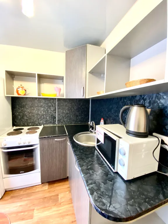 Уютная однокомнатная квартира в центре города