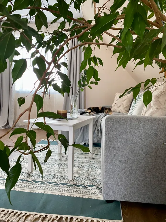 Коттедж Уютный дом рядом с озером — Великий Новгород