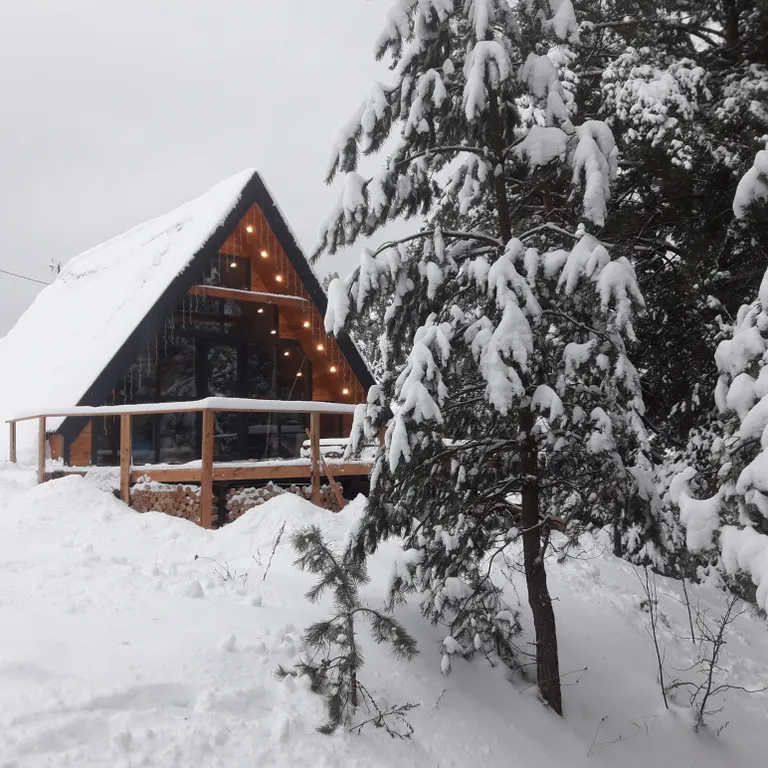 Коттедж Уютный дом с баней и купелью в сосновом бору — аренда посуточно в Алексин
