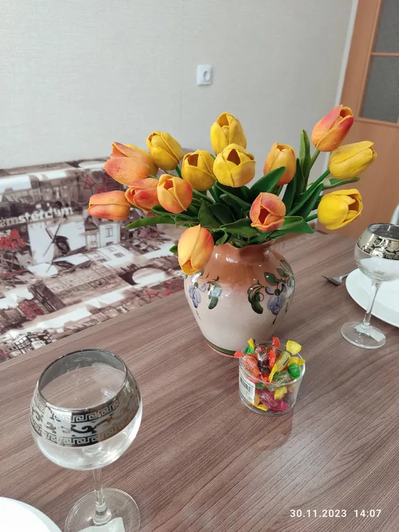 Апартаменты в гостях у Лилии