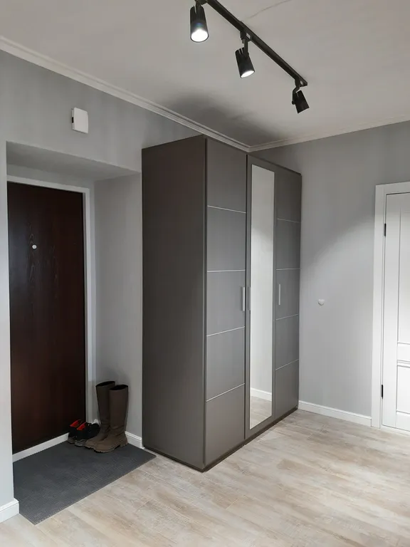 Рыжий Кот Дружный (просторная 2-ка с изолированной спальней)