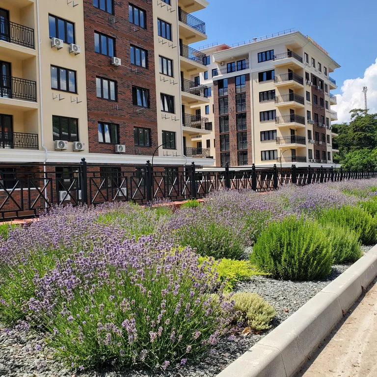 Двухкомнатные апартаменты в живописном месте Ялты