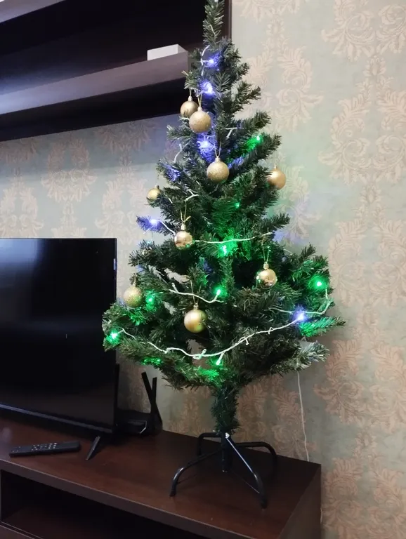 Просторная квартира