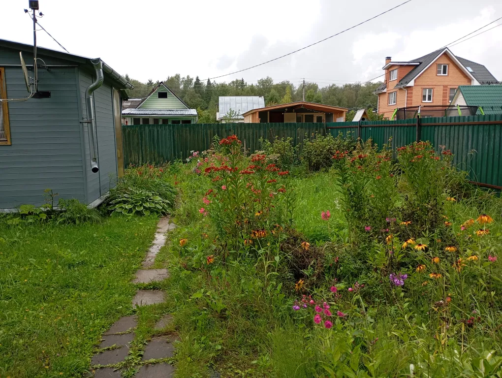 Домики у леса