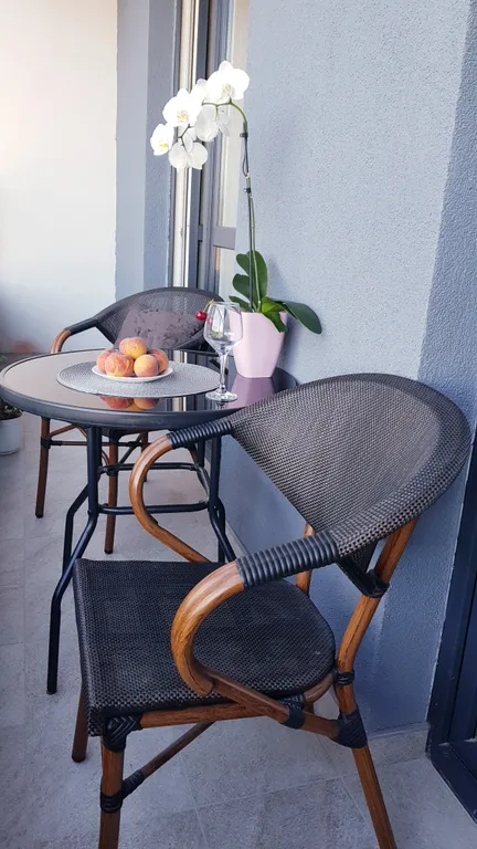 Уютная квартира с видом на лес в центре Светлогорска-2