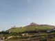 Нелли