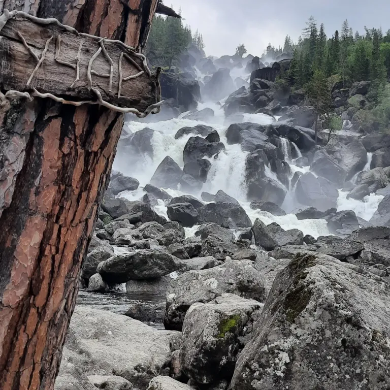 Гостевой дом Белый олень на Телецком озере