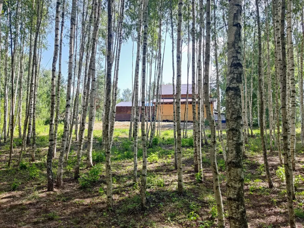 Коттедж 170m2 — чан, кухня, Wi-Fi