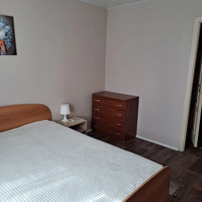 Апартамент в центре поселка