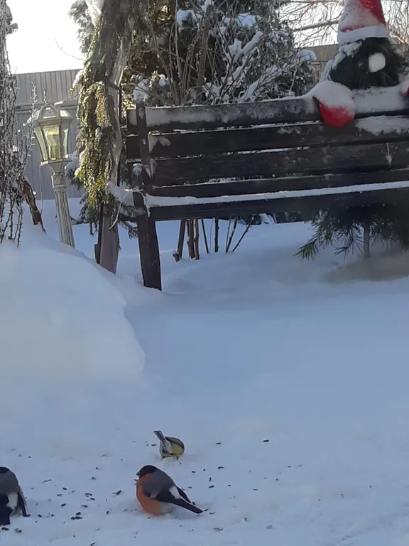 Деревенский рай