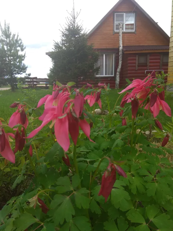 Шестиместный коттедж с тремя спальнями на берегу озера Селигер