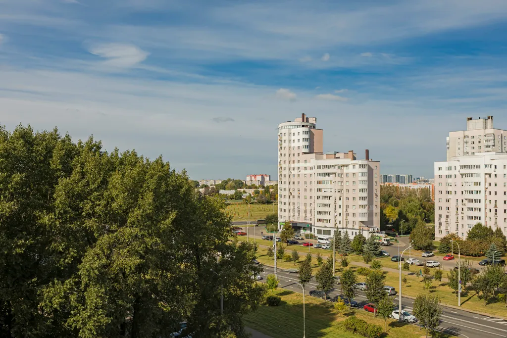 Чистая и уютная квартира у лошицкого парка