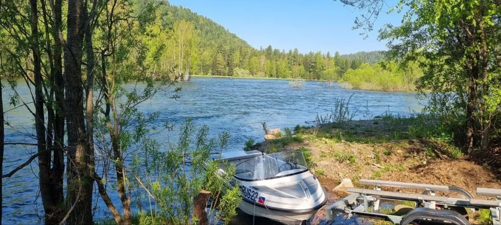 Дом в живописном месте на берегу реки Бия