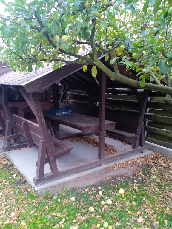 Гостевой дом Отдых у моря