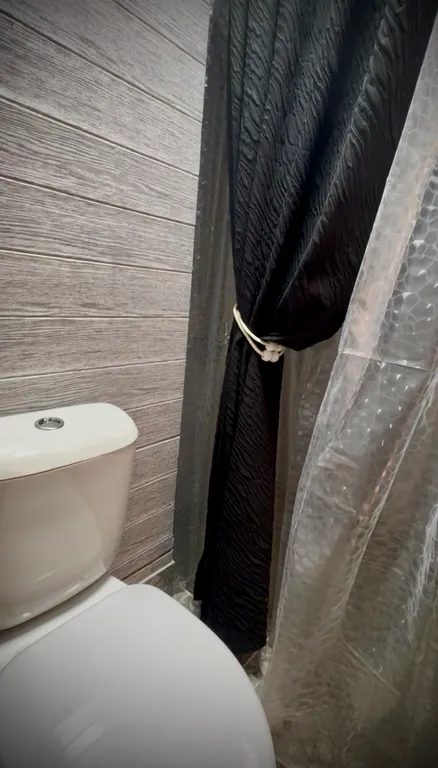 Дом с баней в лесу