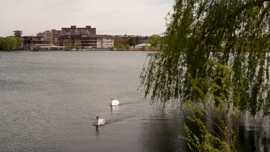Квартира Уютная квартира возле озера — Горячий Ключ