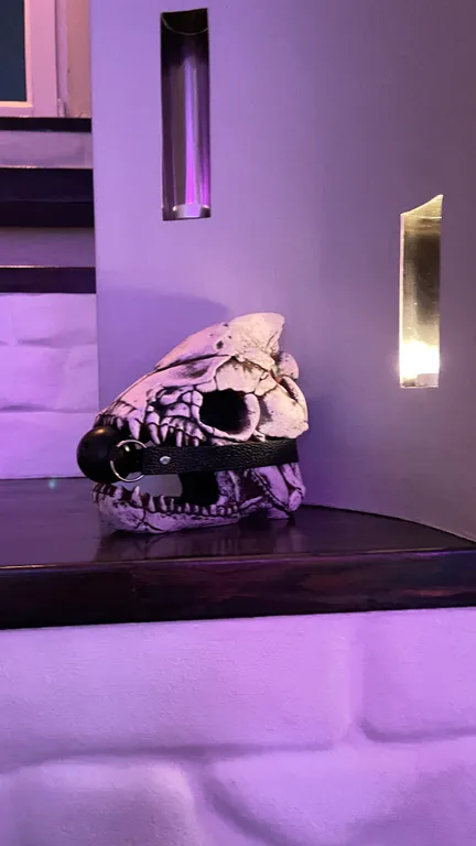 Место где сбываются мечты