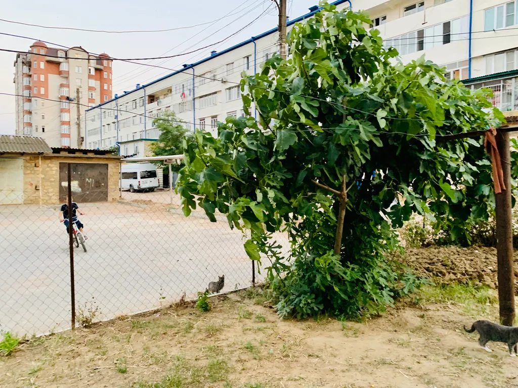 Уютная квартира на набережной у центрального входа