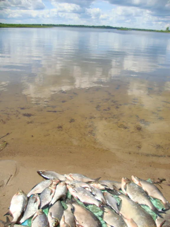 Благоустроенный домик с камином и лоджией на Селигере