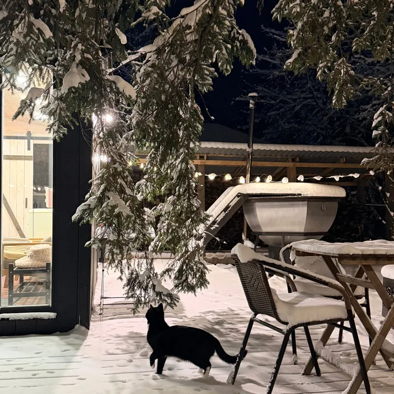 Коттедж Забудьте о городе, ваш лесной дом для тихого отдыха ждет вас — Истра