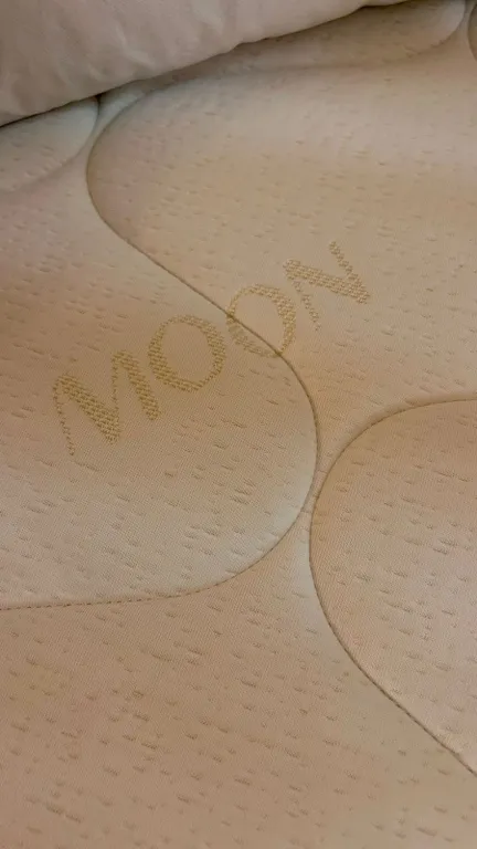 Уютная студия в окружении природы