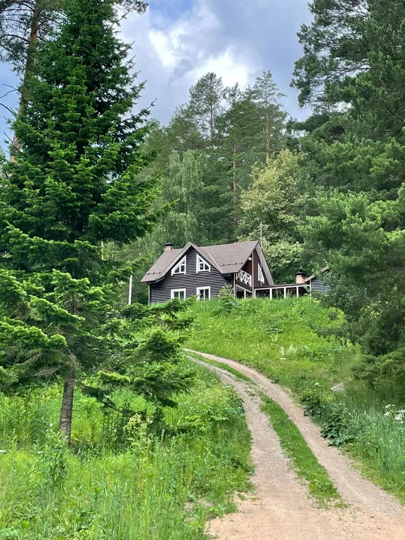 Домик в лесу