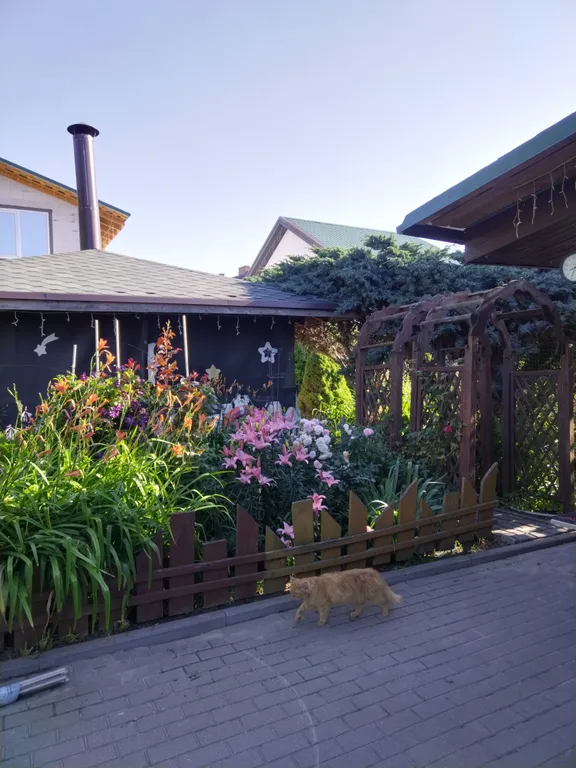 Уютный дом с баней на дровах для вашего отдыха