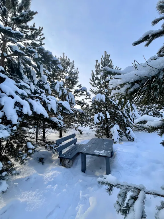 Коттедж Дом-баня сосны — аренда посуточно в Тюмень