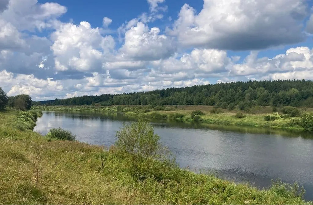Дом на первой линии реки в тишине леса под Тверью