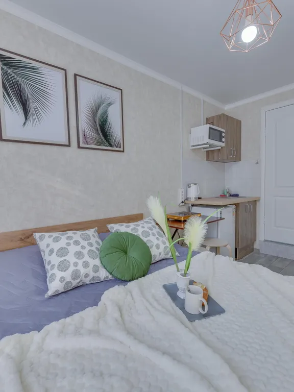 По-домашнему уютная двухместная студия на Толе би — Весновка