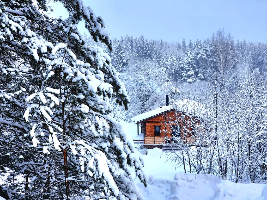Белка дом с камином и сауной