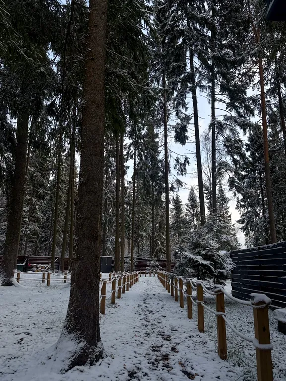 Уютный дом на живописной поляне в лесу с панорамными окнами