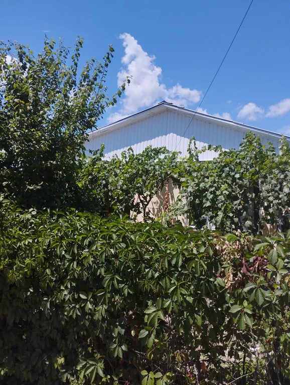 Уютный домик