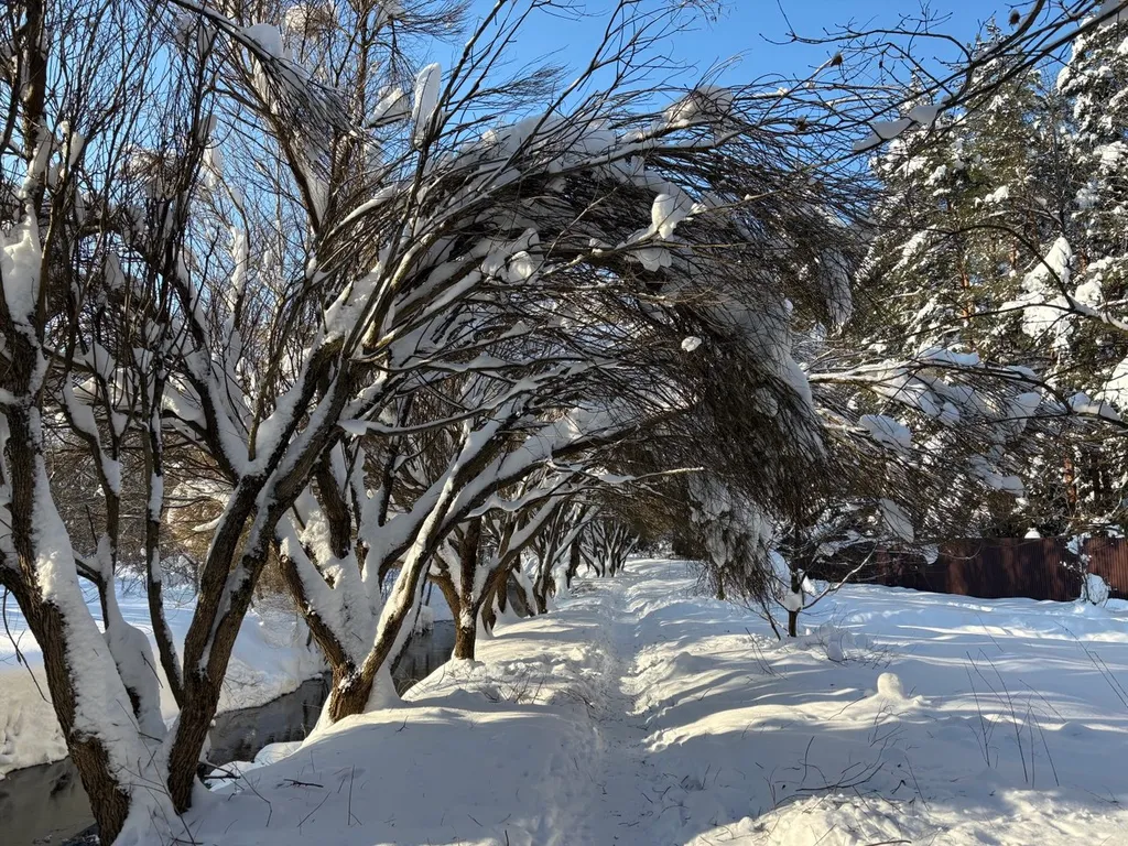 Дача в Заветах Ильича