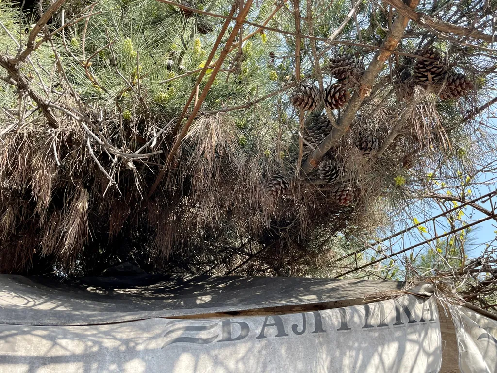 4-комнатный Дом